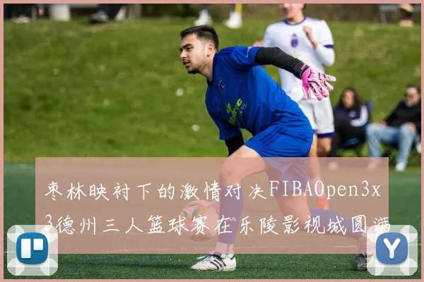 枣林映衬下的激情对决FIBAOpen3x3德州三人篮球赛在乐陵影视城圆满落幕