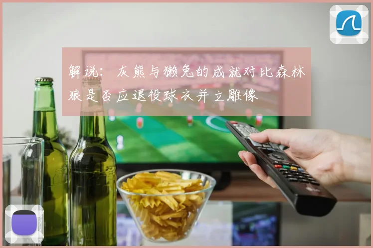 解说：灰熊与獭兔的成就对比森林狼是否应退役球衣并立雕像